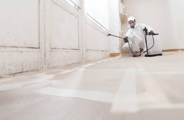 Black mold remediation team in Laveen